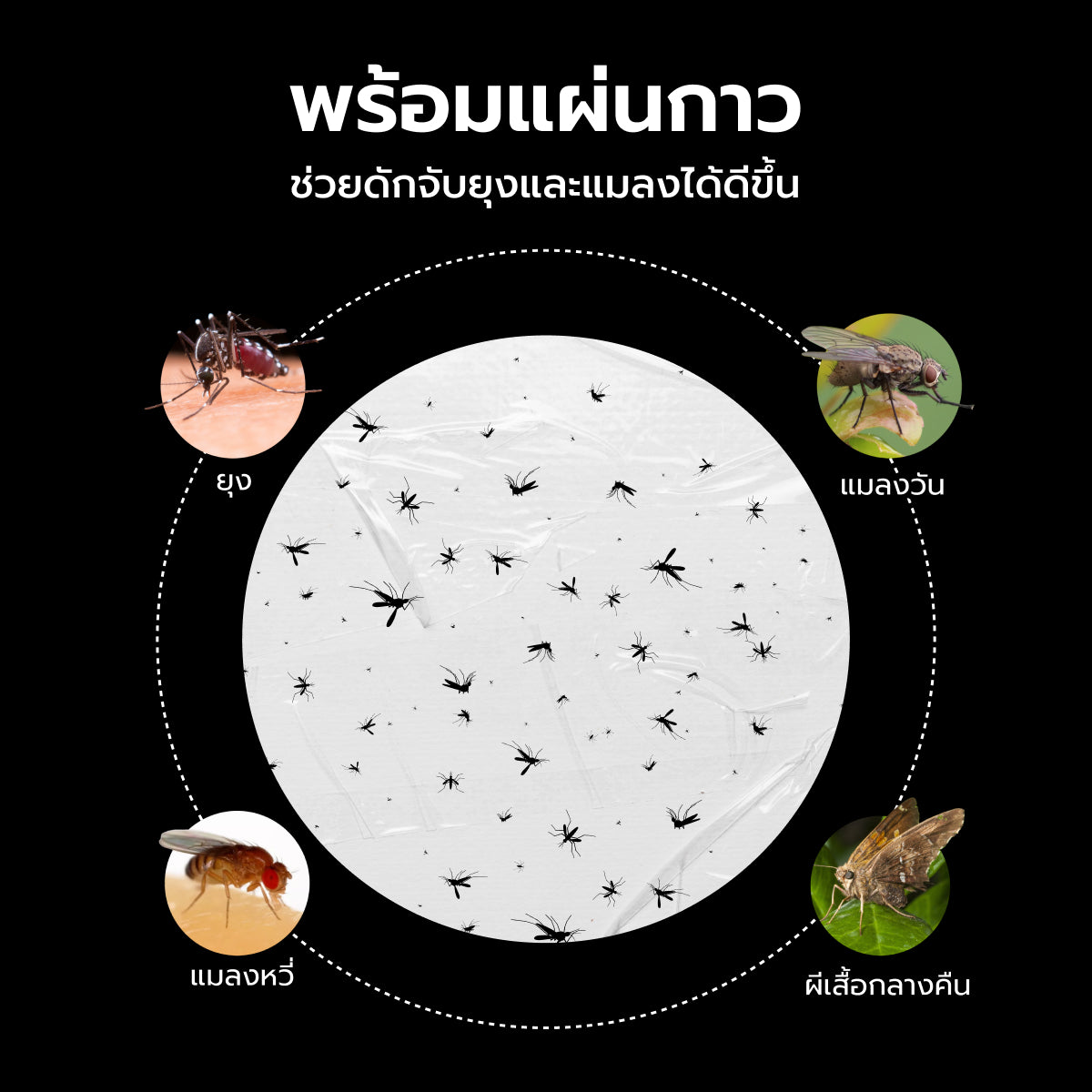 Homemi เครื่องดักยุงและแมลง รุ่น HM0011-P-BL เปิดปิดอัตโนมัติ ระบบแสง UV ด้วยคลื่นความถี่ 365 นาโนเมตร ไม่ใช้สารเคมี