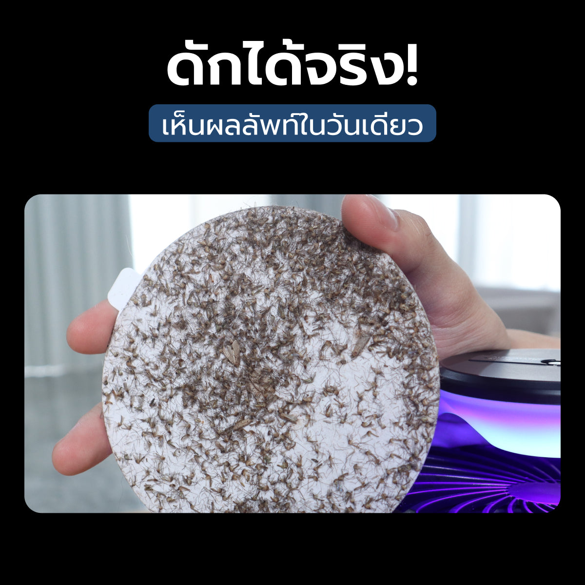 Homemi เครื่องดักยุงและแมลง รุ่น HM0011-P-BL เปิดปิดอัตโนมัติ ระบบแสง UV ด้วยคลื่นความถี่ 365 นาโนเมตร ไม่ใช้สารเคมี