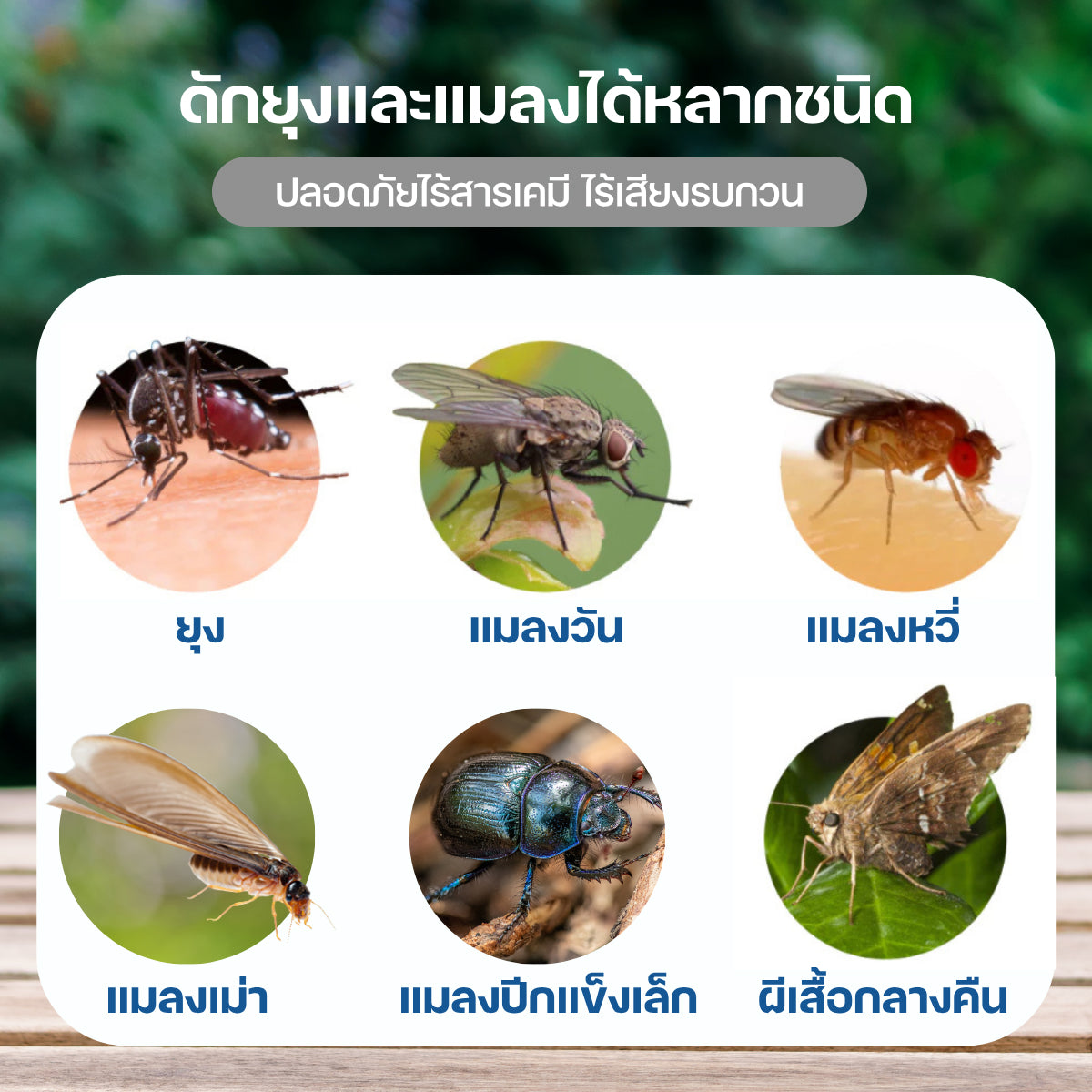 Homemi เครื่องดักยุงและแมลงกลางแจ้งและในบ้าน