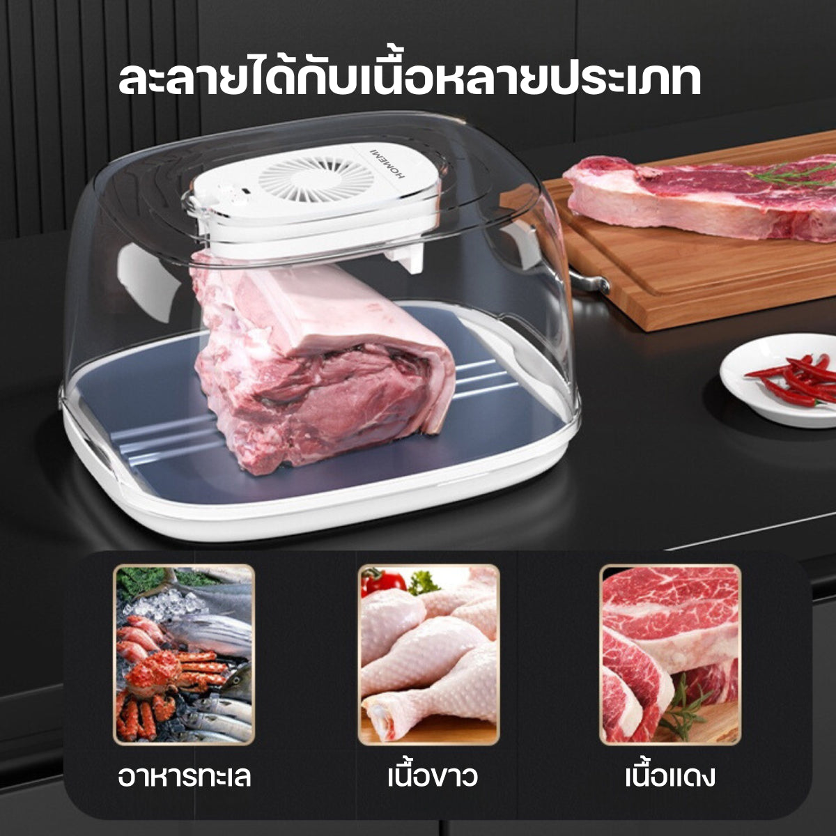 Homemi กล่องละลายเนื้อ Meat Thawing Box ละลายเนื้อไว เนื้อชุ่มฉ่ำขึ้น