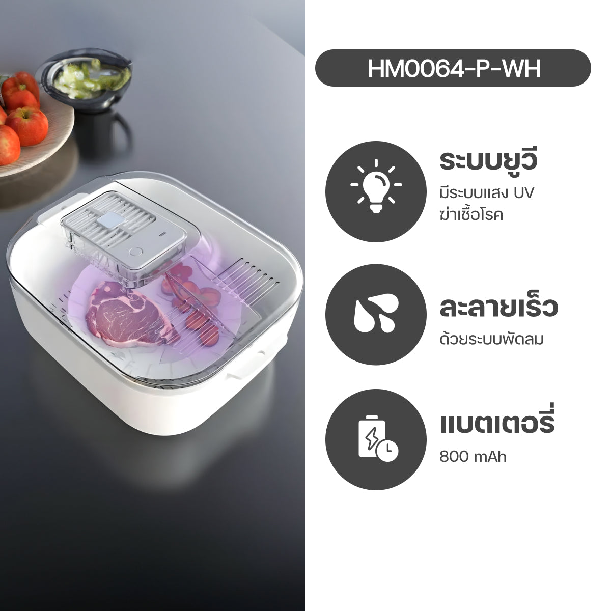 Homemi กล่องละลายเนื้อ Meat Thawing Box ละลายเนื้อไว เนื้อชุ่มฉ่ำขึ้น