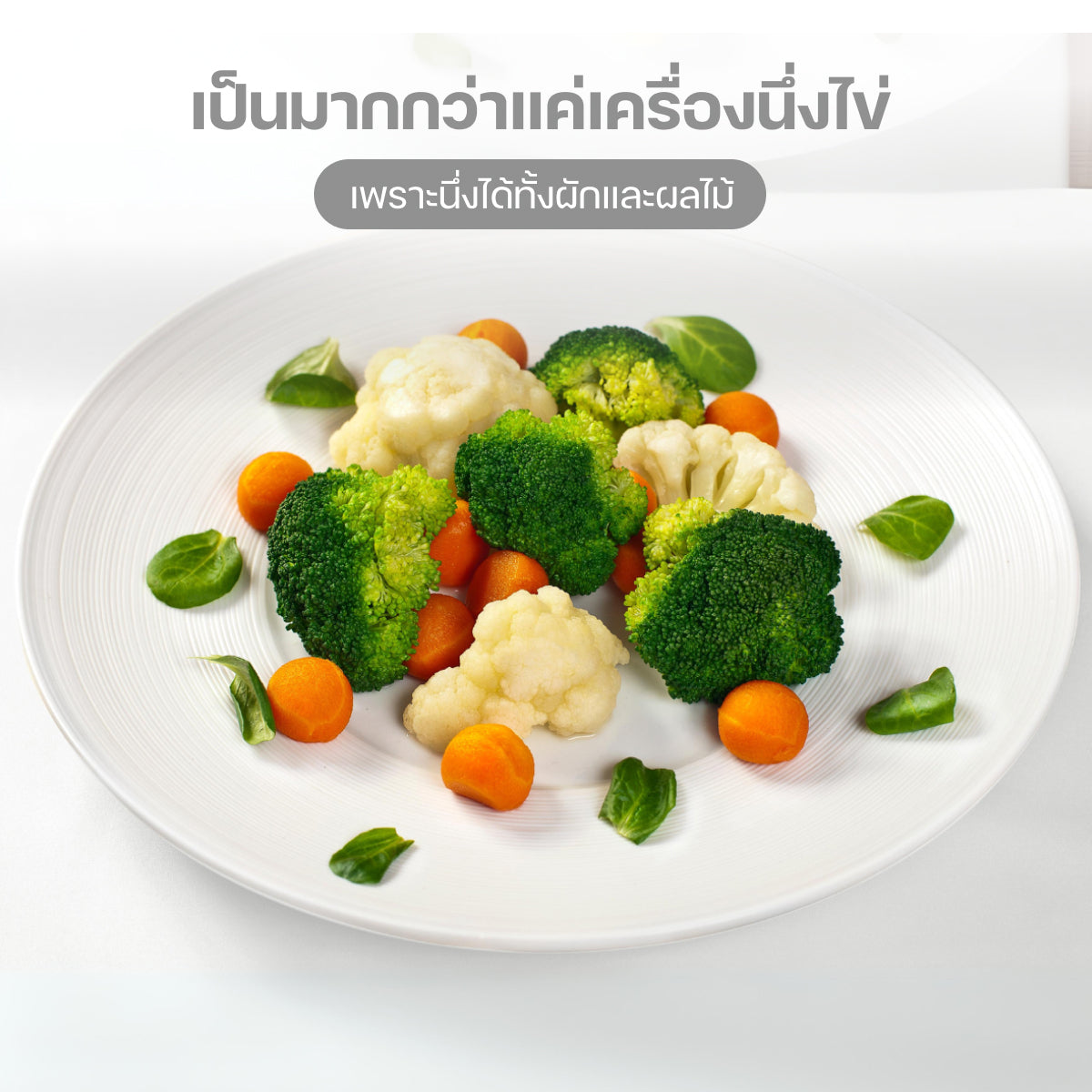 Homemi เครื่องต้มไข่ Electric Egg Cooker เลือกระดับความสุกของไข่ได้