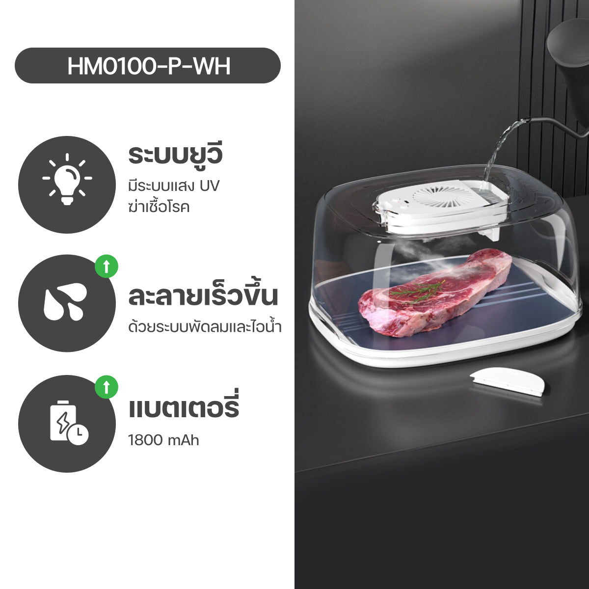 Homemi กล่องละลายเนื้อ Meat Thawing Box ละลายเนื้อไว เนื้อชุ่มฉ่ำขึ้น